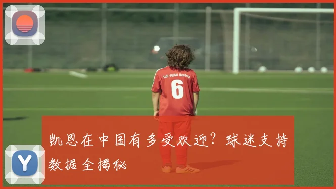 凯恩在中国有多受欢迎？球迷支持数据全揭秘