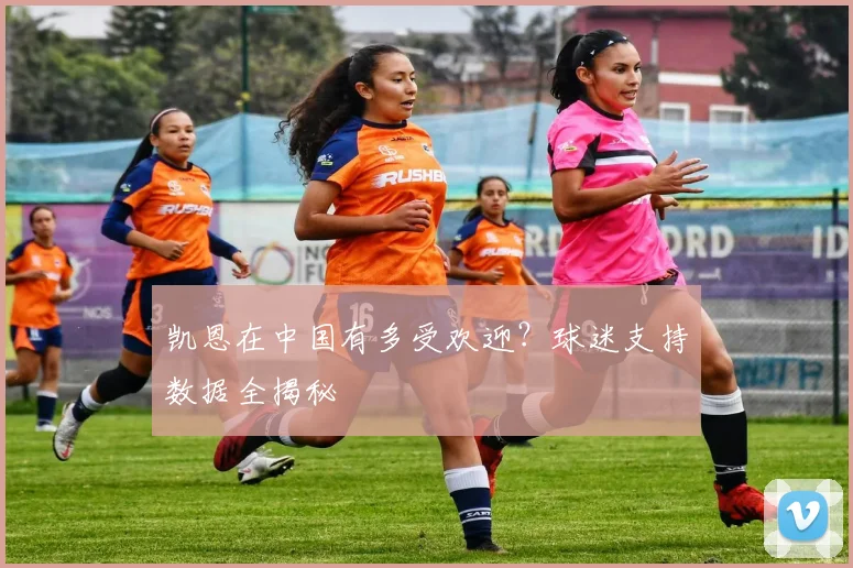 凯恩在中国有多受欢迎？球迷支持数据全揭秘